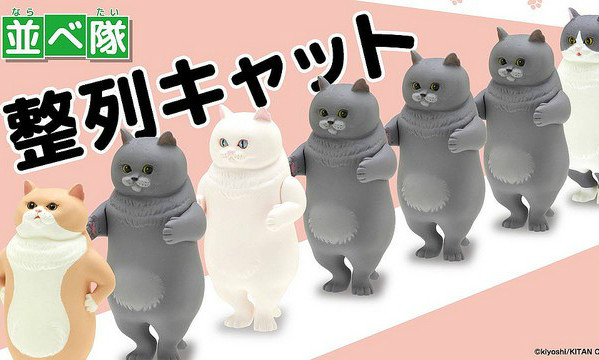 奇谭俱乐部「整队！排队的猫咪」扭蛋