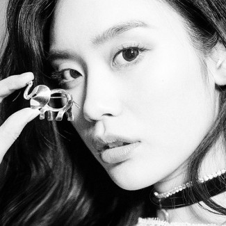 倾心公益事业,Tiffany Save the Wild系列既环保、又好看!