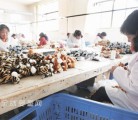 国内玩具厂如何摆脱低利润代工 自主品牌创新是新方向