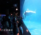 “我为乐高狂”与孩子一起走进蓝色水下世界