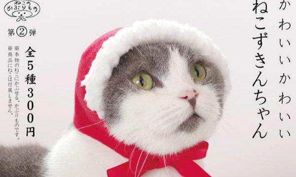 奇谭俱乐部【可爱猫咪头套】扭蛋 第二弹!!
