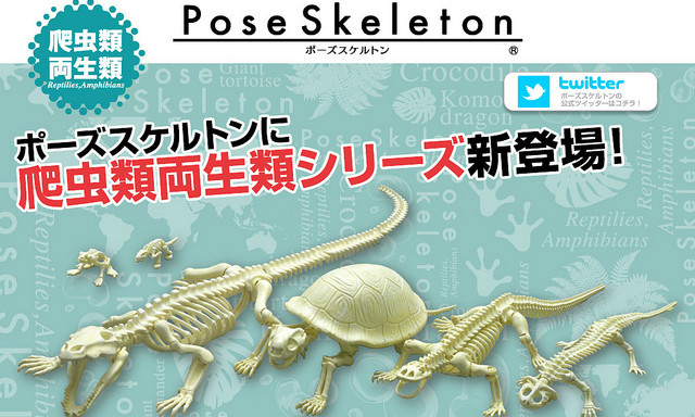 RE-MENT【骷髅系列。两栖爬虫类】Pose Skeleton 系列食玩