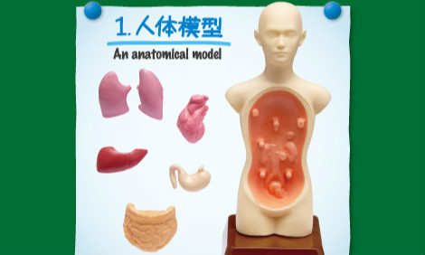 RE-MENT【我们的科学教室】食玩作品