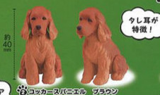 超听话狗狗坐姿扭蛋第3弹!