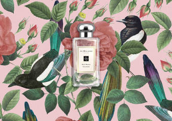 Jo Malone - JUST BECAUSE礼因为你 七夕情人节 独家限定包装
