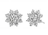 HARRY WINSTON Sunflower见证浪漫时刻