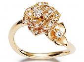 盛放的金质玫瑰PIAGET Piaget Rose系列