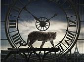 从过去到未来 CARTIER“雕塑时光”