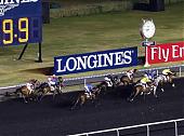 LONGINES 为迪拜世界杯增添优雅气派