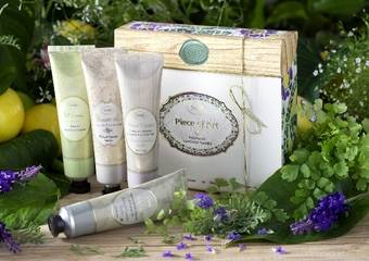 SABON -【青柠薰衣草系列】春日时光 香伴身旁