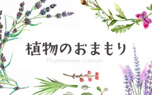 丝瓜、薰衣草和柠檬竟然这么有效!夏日‘镇定’肌肤修复秘方