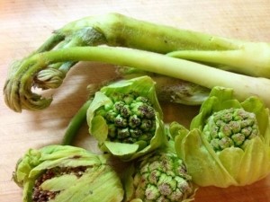 排出冬天累积毒素!发挥春野菜最大功效的烹调诀窍