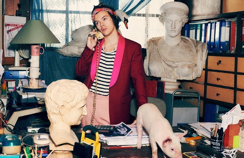 他很怪但很帅 Harry Styles跟天鹅一起吃葡萄？