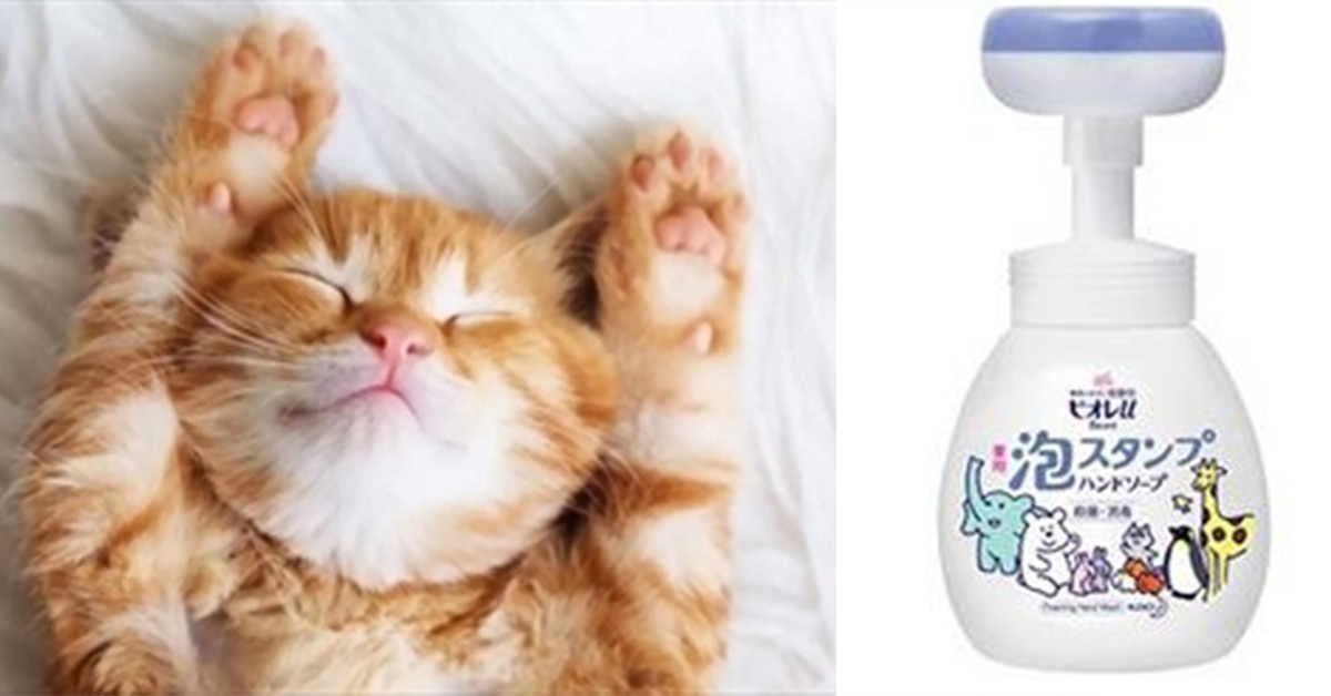 用主子肉球洗手!花王推“猫掌泡泡洗手乳”,萌到猫奴要失控啦