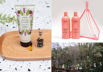 AVEDA 肯梦 - 纯净水,敬水 AVEDA 地球月 4/10-5/14