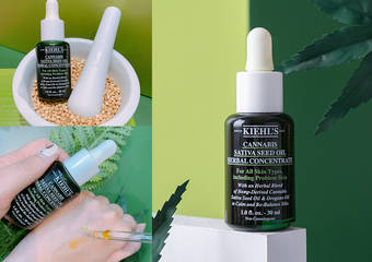 KIEHL'S 契尔氏 - 大麻籽油精萃强势登台!一滴有效净化肌肤 K.O.粉刺痘痘 养出匀净光泽肌