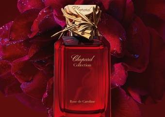 CHOPARD 萧邦卡罗琳玫瑰花园淡香精香水限量推出