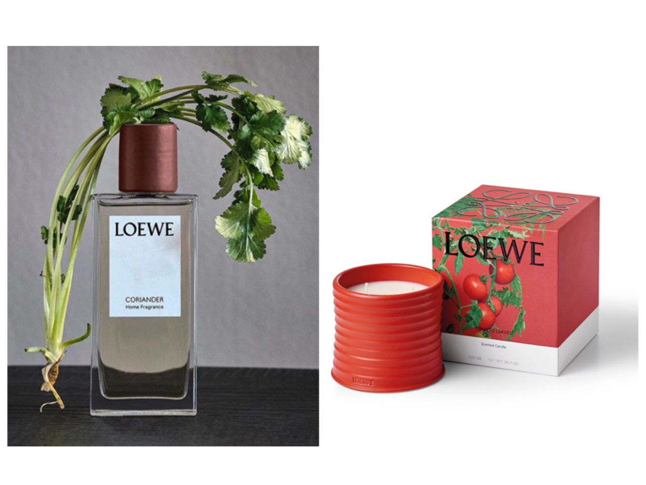 香菜控快来!LOEWE香菜喷雾、蜡烛上市 大麻味先掰掰