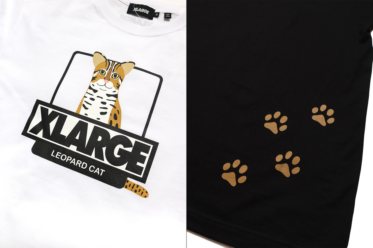 台湾石虎篡位?取代经典“猩猩”成潮牌XLARGE吉祥物