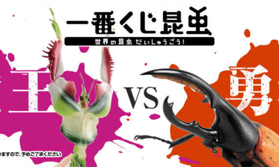 一番赏昆虫「世界的昆虫大集合!!」